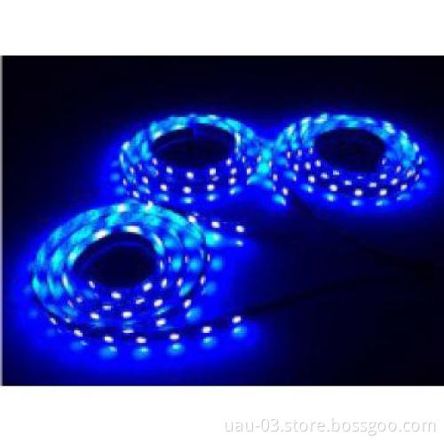 DC12V 3528 Blue led strip light